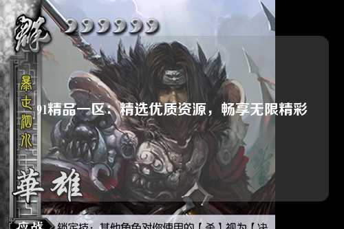 91精品一区：精选优质资源，畅享无限精彩