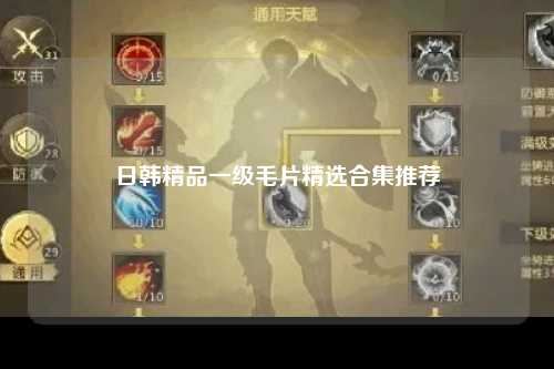 日韩精品一级毛片精选合集推荐