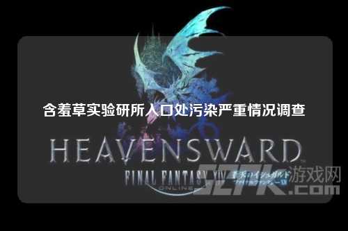含羞草实验研所入口处污染严重情况调查