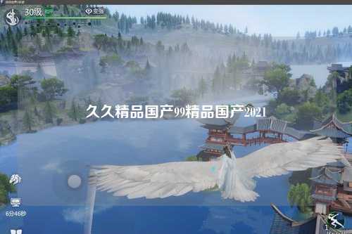 久久精品国产99精品国产2021