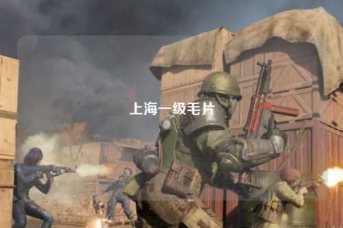 上海一级毛片