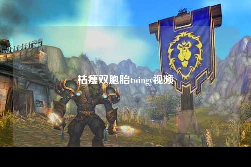 枯瘦双胞胎twingy视频