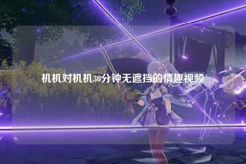 机机对机机30分钟无遮挡的情趣视频