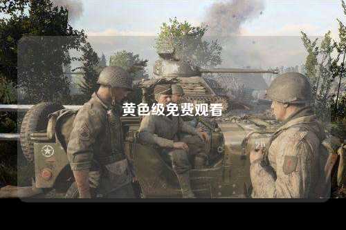 黄色级免费观看