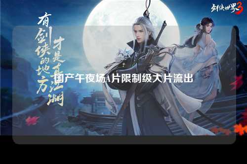 国产午夜场A片限制级大片流出