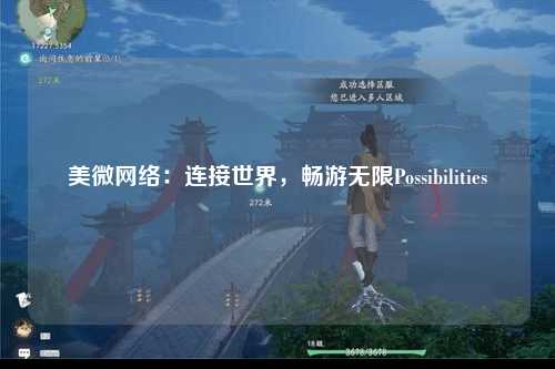 美微网络：连接世界，畅游无限Possibilities